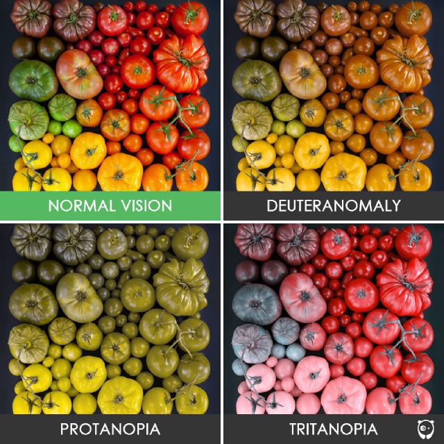 Example image Example image