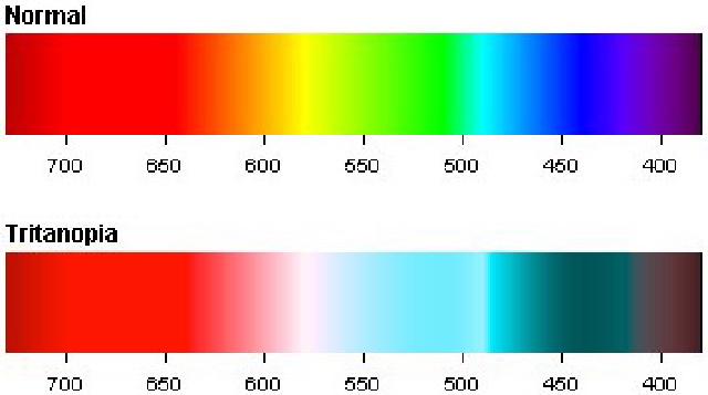 Example image Example image