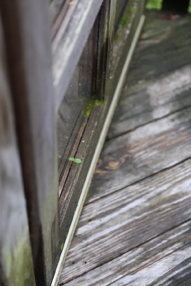 Example image Example image